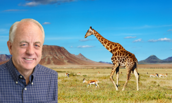 2026 African Safari with Mark Faldmo