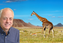 2026 African Safari with Mark Faldmo