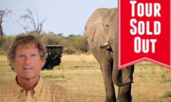 2025 Africa and the Great Migration Safari with Jim Gee