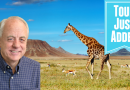 2026 African Safari with Mark Faldmo