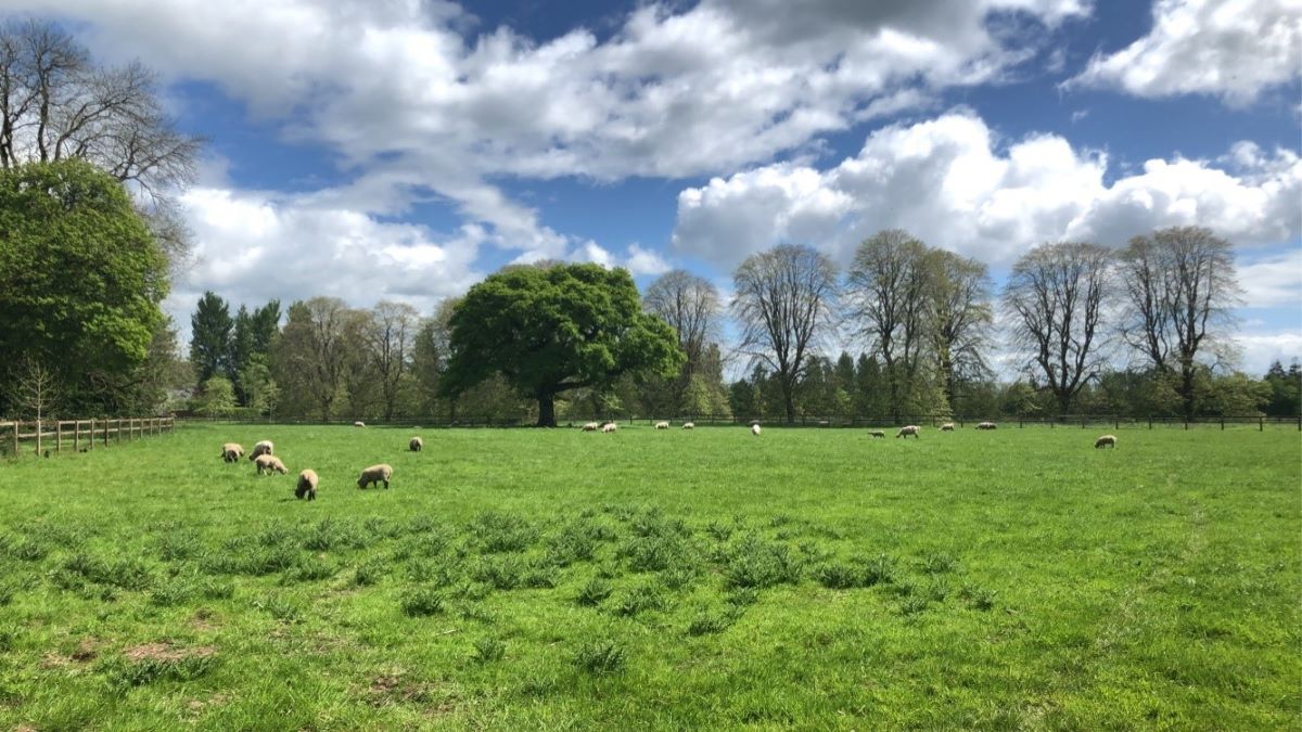 Day 9: Thursday, June 10, 2027