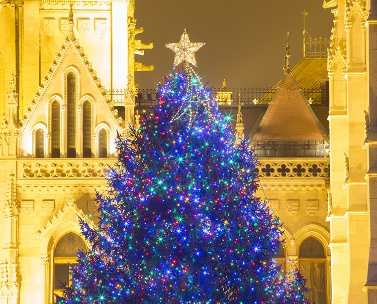 Day 7: Friday, December 5, 2025