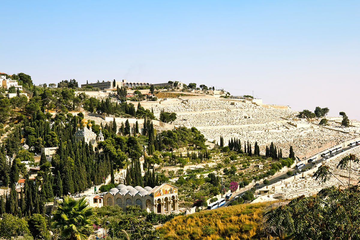 Shalom Jerusalem Tours - Israel Holy Land Tours